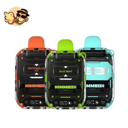 Flava Nimmbox 10000 Puffs Disposable Vape In Dubai