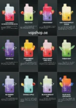 NERD Vape shop | Vape habibi