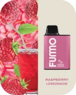 Fummo King 6000 Puffs Disposable Vape 2% Nicotine Raspberry Lemonade Flavours