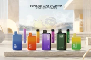 Disposable vape collections on Vape Habibi showing different brand ranges and puff count options