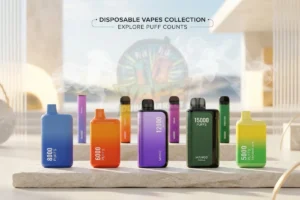 Disposable vape collections on Vape Habibi showing different brand ranges and puff count options